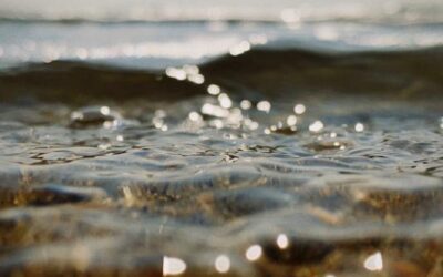 The river provides indoors cooling