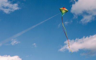 Making use of the user