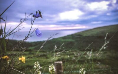 Webinar: Developing commercial opportunities