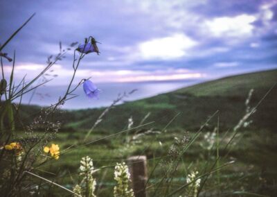 Webinar: Developing commercial opportunities