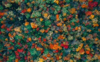 Energy recovered from sewage water in Sandvika, Norway