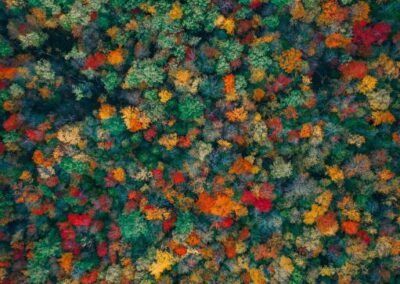 Energy recovered from sewage water in Sandvika, Norway