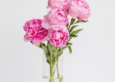 Webinar: OPTi-mising district heating solutions