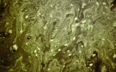 Excess heat from lignite mining in Bergheim, Germany