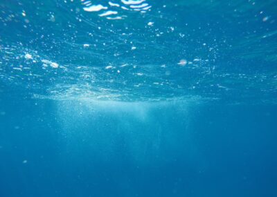 Waste water as heat source in Kalundborg, Denmark