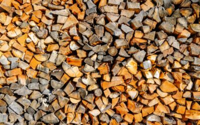 Biomass for the masses