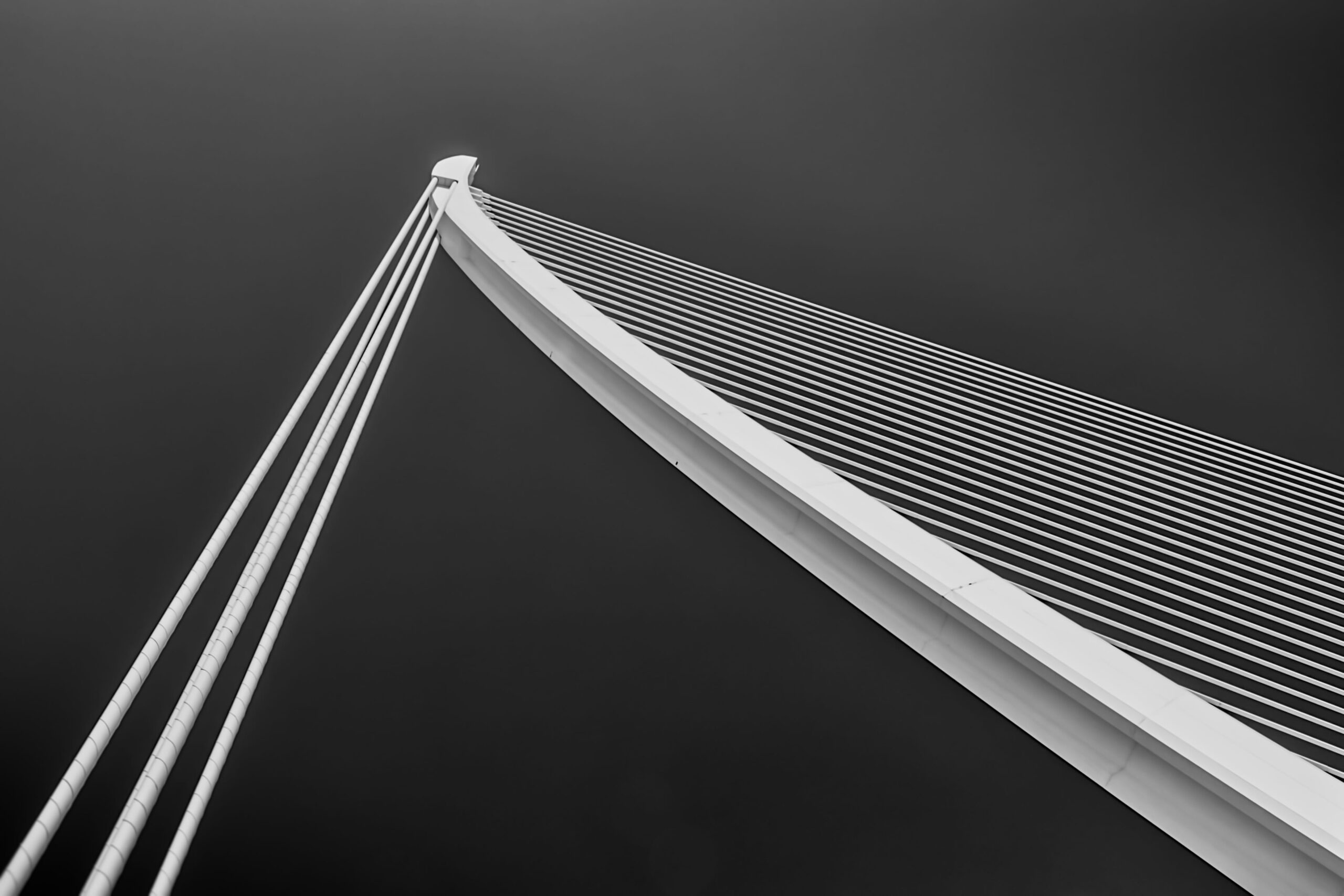 Abstract image of architecture - long white rods shooting up into the sky. The photo is black and white.