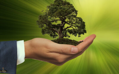 The Green Deal: 15 links to learn more about Europe’s path to climate neutrality