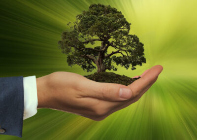 The Green Deal: 15 links to learn more about Europe’s path to climate neutrality