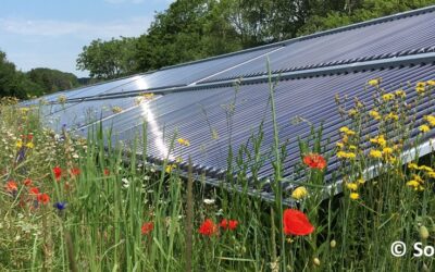 Renewable energy sources in district heating and cooling as a path to climate-neutral cities