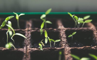 FlexiGrid develops financial instruments for green investments