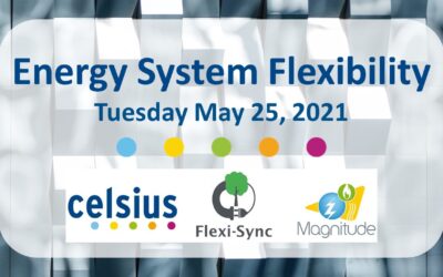 Webinar: Energy System Flexibility