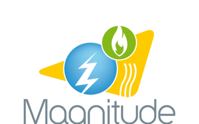 Flexibility Through Multi-Energy System Integration