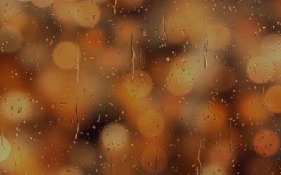 Increased energy optimisation using low temperature convectors